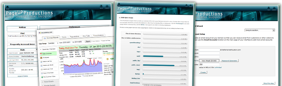 cPanel Hosting Control Panel